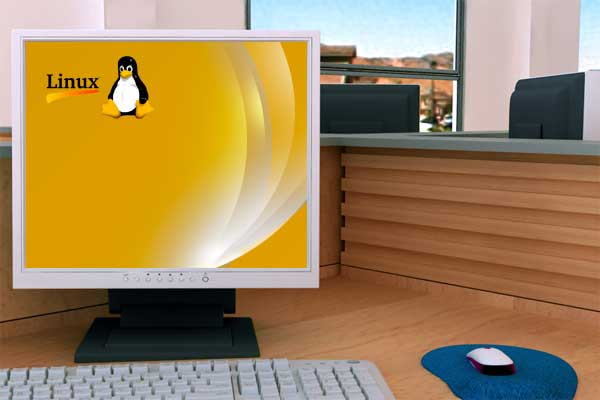 Curso a Distancia de Linux Avanzado: Redes y Servidores Versión Ubuntu - Sistemas Operativos