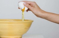 Manual Didáctico de Manipulador de Alimentos Sector Huevos y Productos Derivados - Alimentación