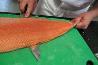 Curso de Manipulador de Alimentos - Pescados y Mariscos - Alimentación